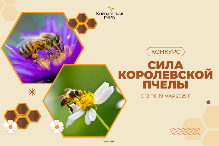 Конкурс "Сила Королевской пчелы"