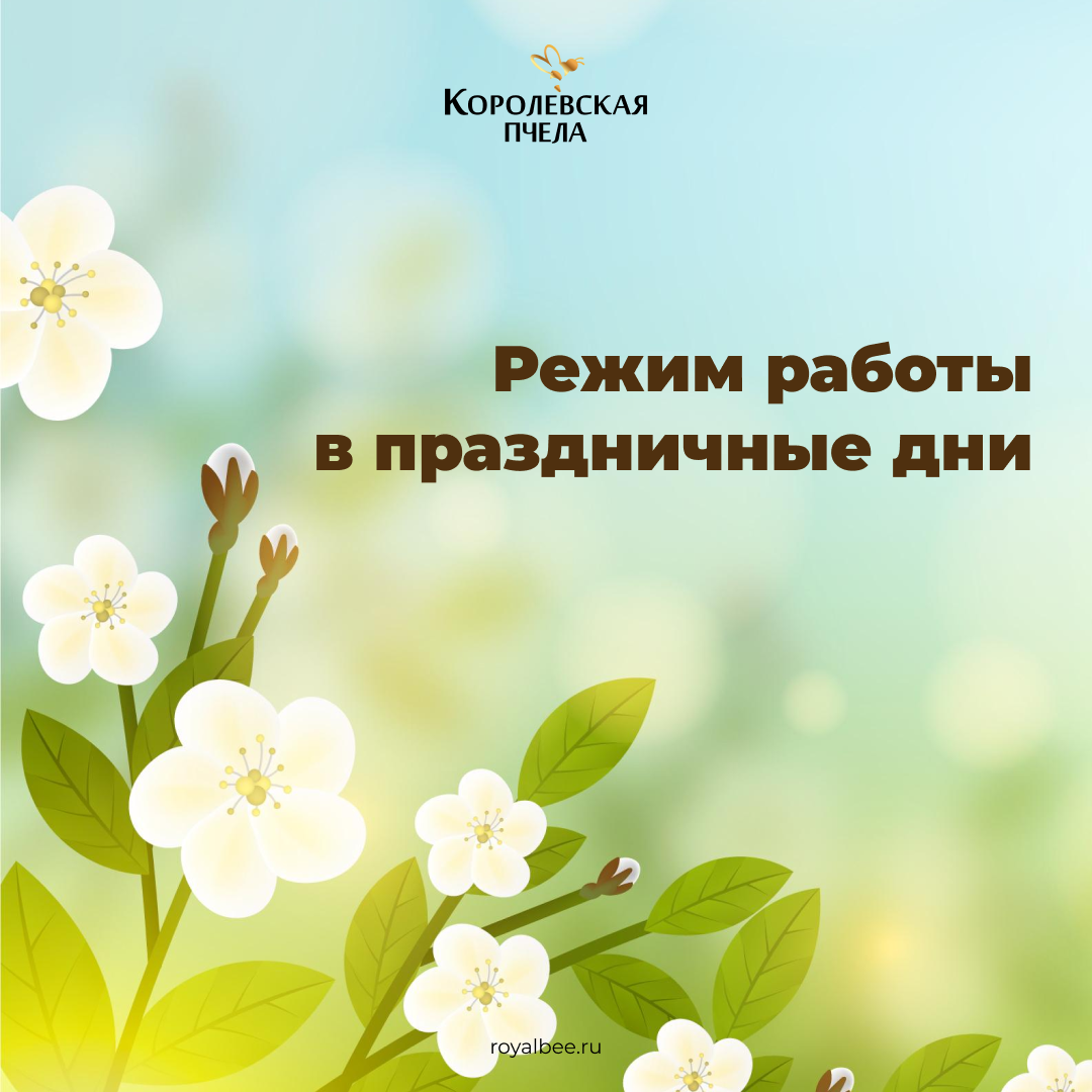Информируем вас о графике работы в праздничные дни: