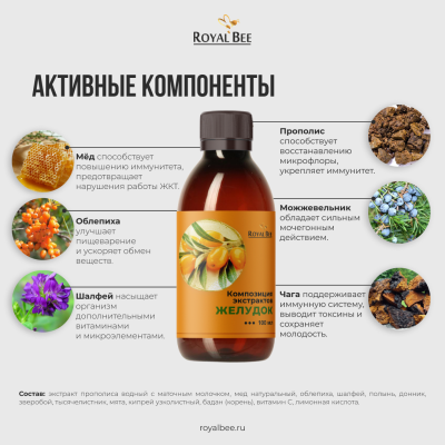 КОМПОЗИЦИЯ ЭКСТРАКТОВ "ЖЕЛУДОК", 100 мл
