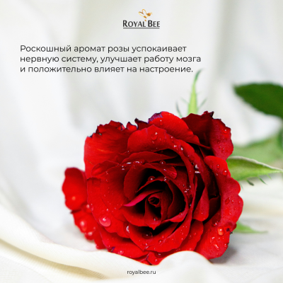 Гель для умывания с ароматом розы, 30 мл (туба)