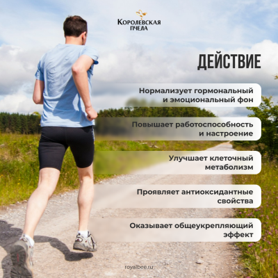 ТРУТНЕВЫЙ ГОМОГЕНАТ PREMIUM, 30 пастилок