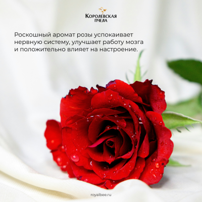 ГЕЛЬ ДЛЯ УМЫВАНИЯ С АРОМАТОМ РОЗЫ, 30 мл (туба)